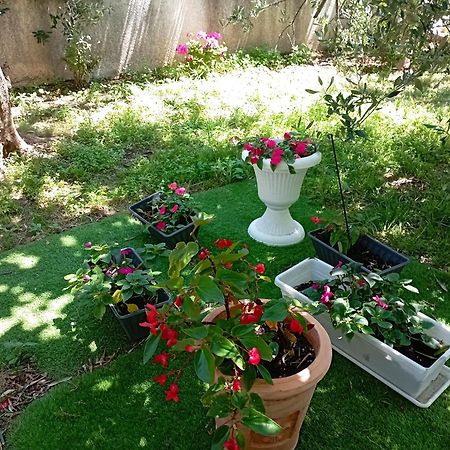 Apartmani Trubi 3 沃迪切 外观 照片