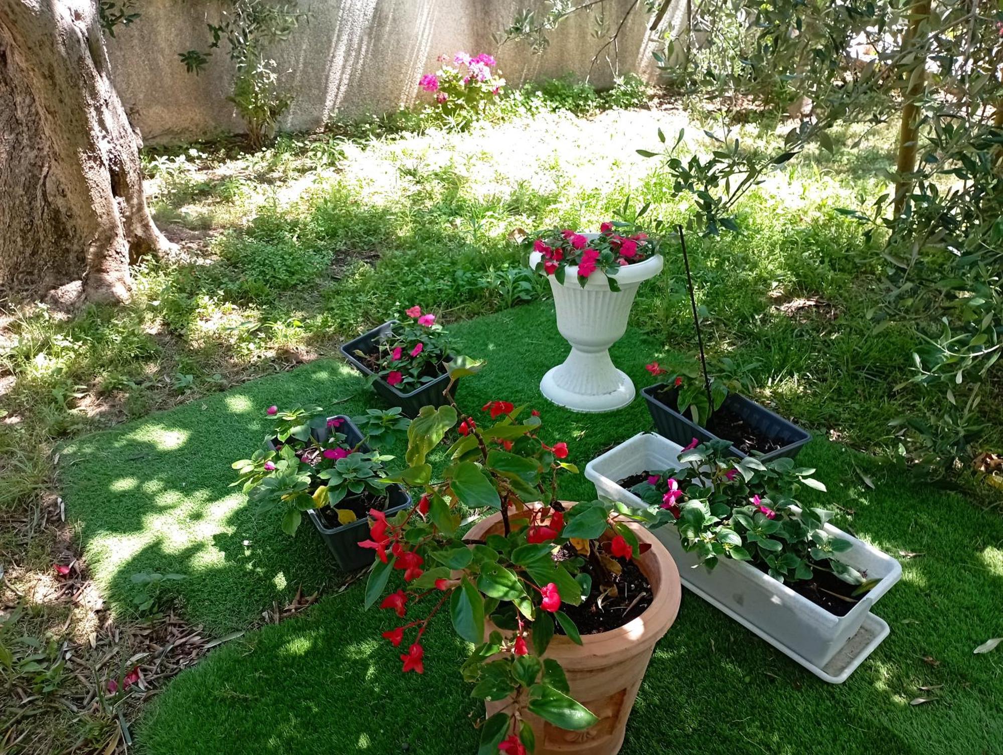 Apartmani Trubi 3 沃迪切 外观 照片