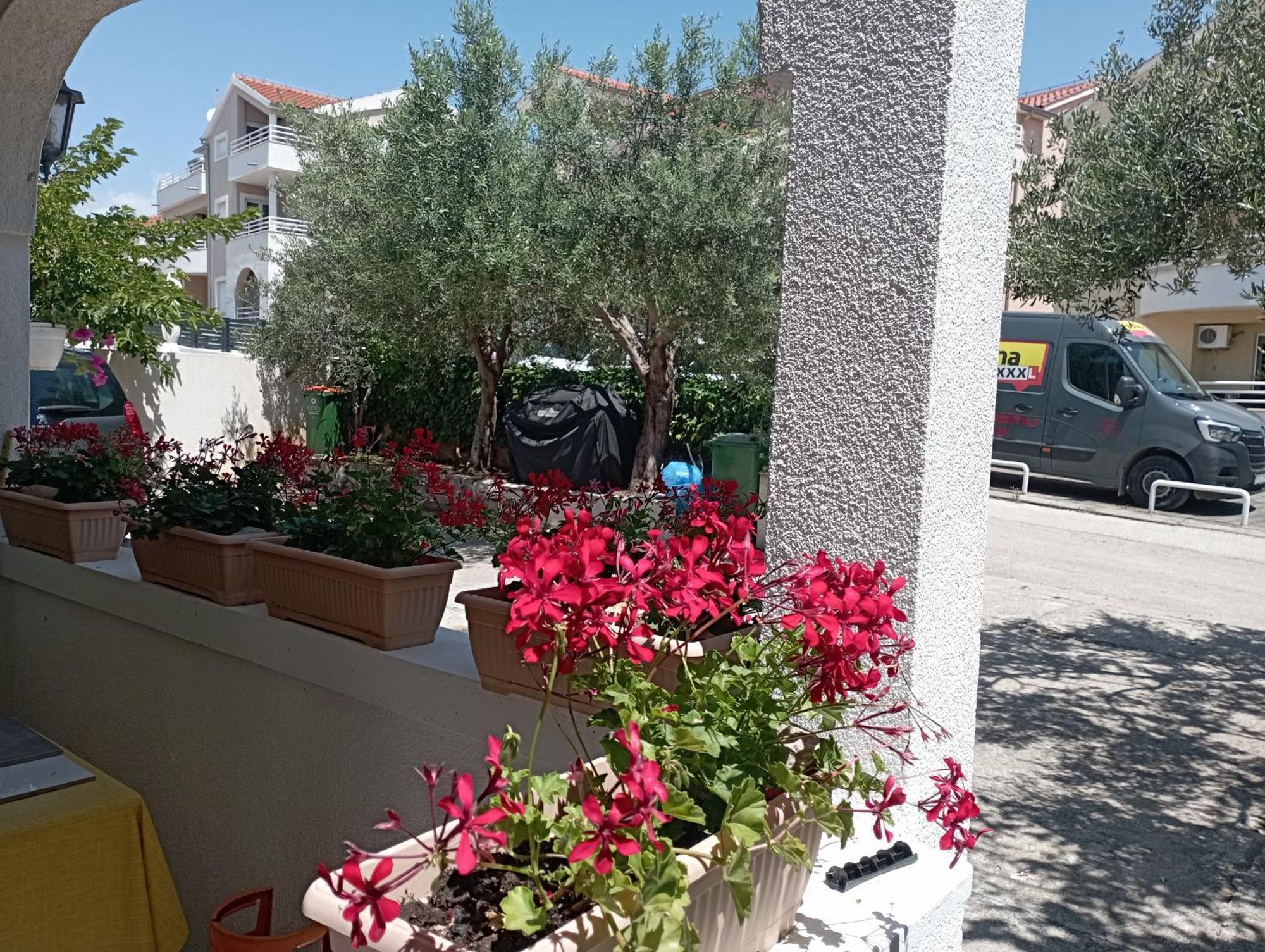 Apartmani Trubi 3 沃迪切 外观 照片